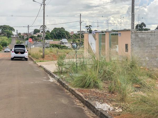 Terreno à venda em Cascavel, Guarapuava cod:142195 - Foto 3