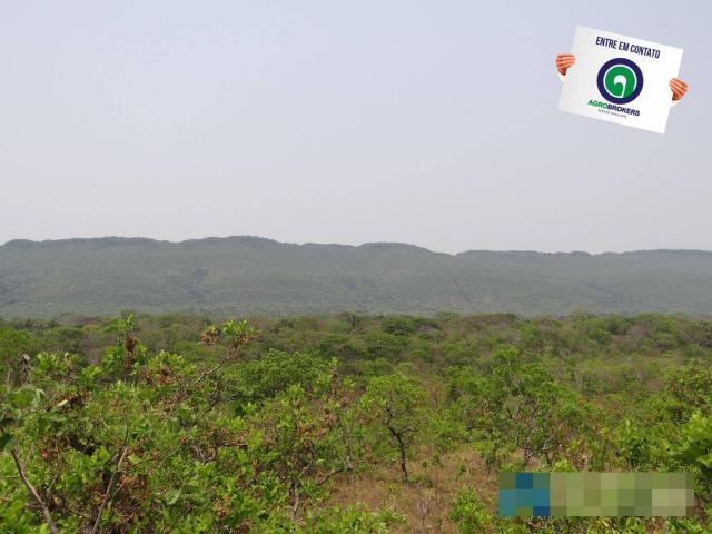 Fazenda 1.970ha - Foto 12