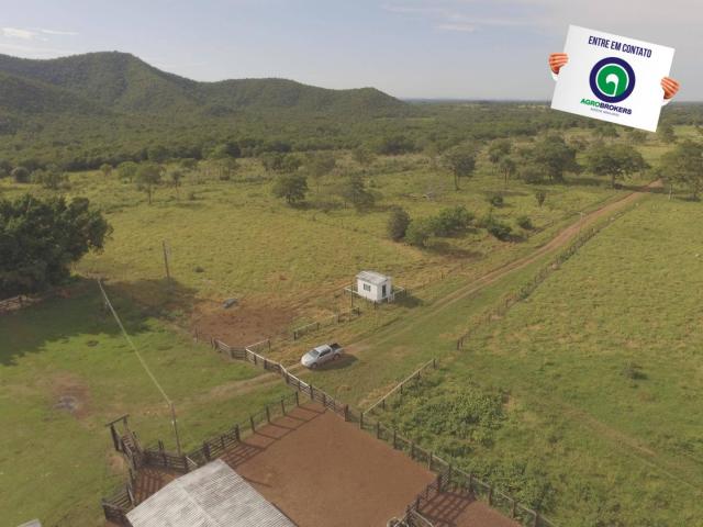 Fazenda 1000 ha região do olho d´água