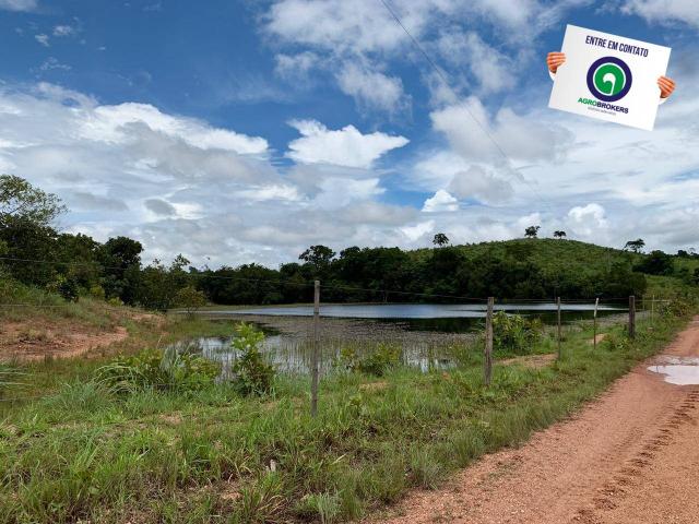 Fazenda 400 ha região de acorizal - Foto 16