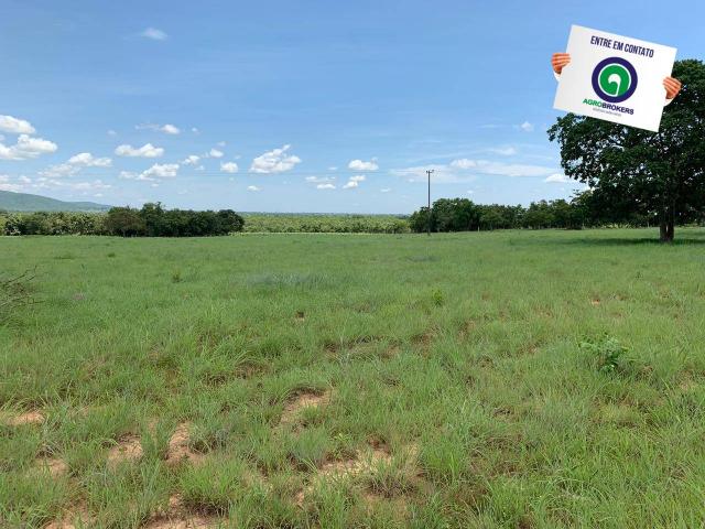 Fazenda 362,27ha acorizal - Foto 9