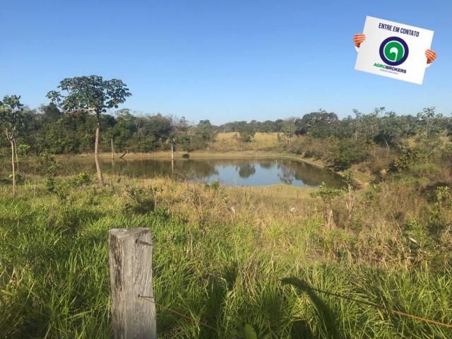 Fazenda 450ha beira do asfalto - Foto 5