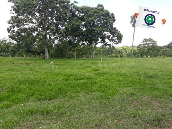 Sitio 22 ha livramento - Foto 10