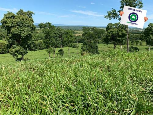 Fazenda 970 ha na beira do asfalto estrada de cáceres - Foto 11