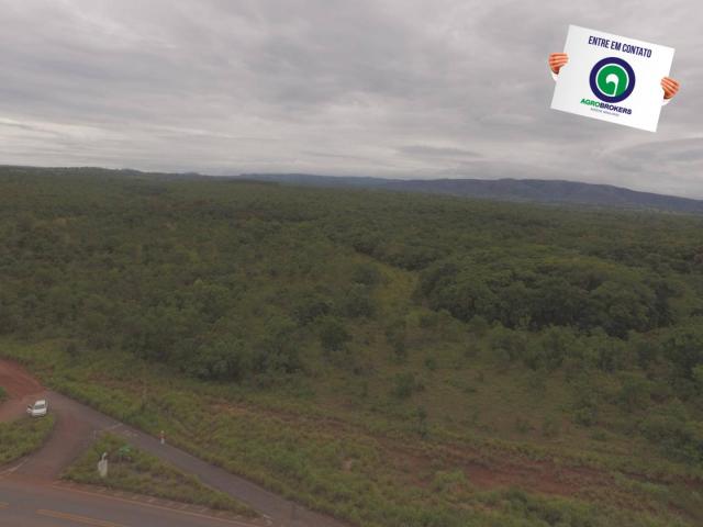 Fazenda 200 ha na beira do asfalto - Foto 9