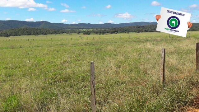 Fazenda 1.650 ha sentido caceres - Foto 5