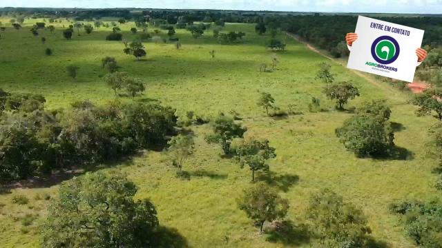 Fazenda 512 ha em livramento - Foto 7