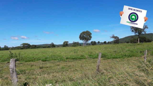 Fazenda 1.650 ha sentido caceres - Foto 15