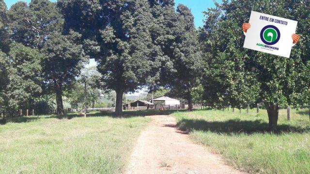 Fazenda 1.650 ha sentido caceres - Foto 11