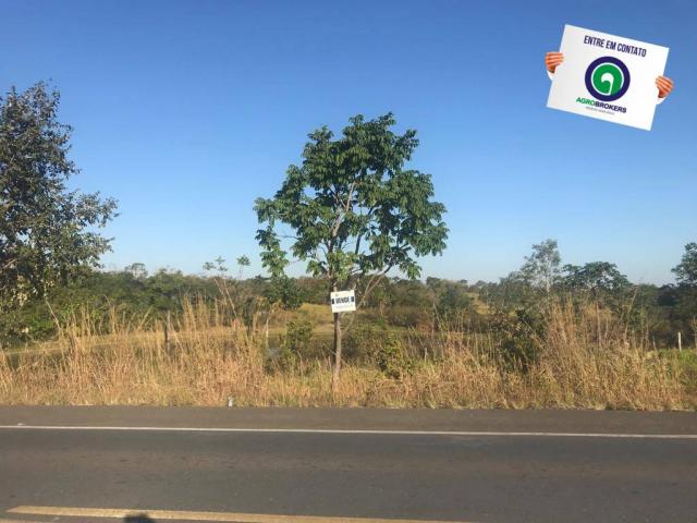 Fazenda 450ha beira do asfalto - Foto 4