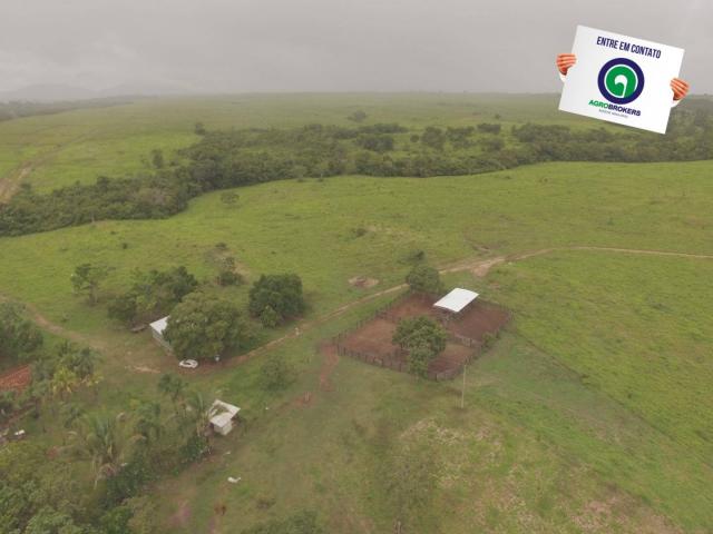 Fazenda 700 ha região do manso - Foto 6