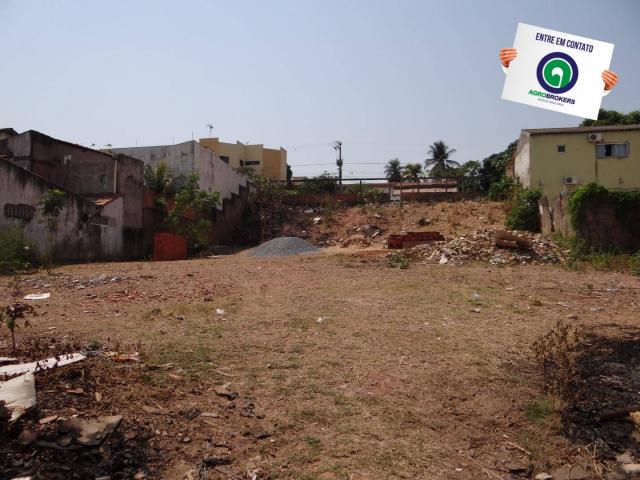 Terreno pico do amor - Foto 3