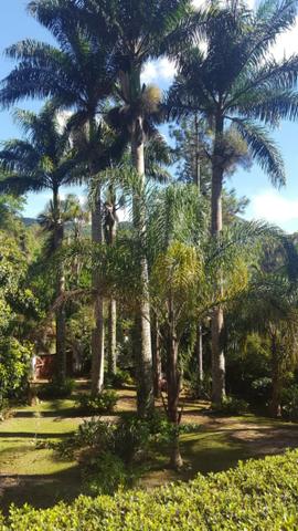 Excelente sitio em Teresópolis - Foto 4
