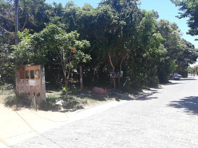 JJ Lote em Tucuns - Foto 2
