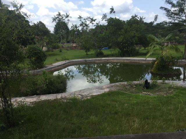Sítio Marina Jaguari, PREÇO NEGOCIÁVEL - Foto 17