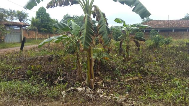 Terreno - Foto 6