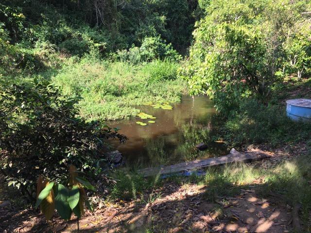 Fazenda cacau e gado - porteira fechada - Foto 7