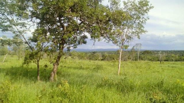 Fazenda Ribeirão - Foto 2
