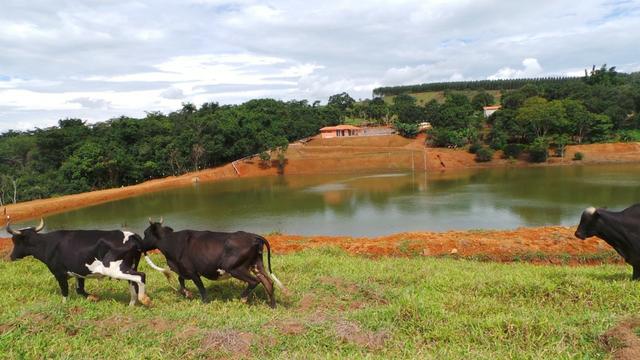 Sítio 22 hectares em Planalmira - Foto 9
