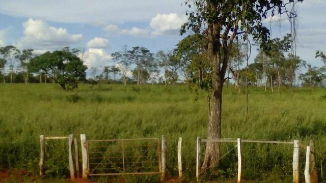 Fazenda Ribeirão - Foto 7