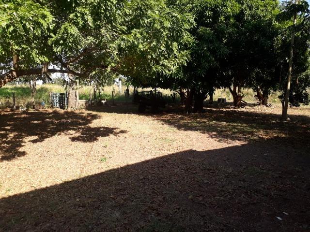 Fazenda há 50 km de Várzea Grande sentido Poconé - Foto 4