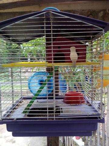 Gaiola para hamster