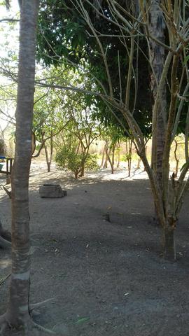 Vendo uma terra pertinho do arraia 13 alqueiro - Foto 10