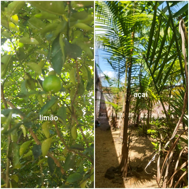 Vendo ou troco casa de campo - Foto 13