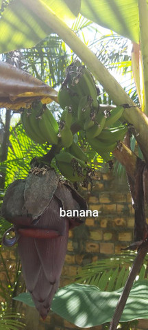 Vendo ou troco casa de campo - Foto 16