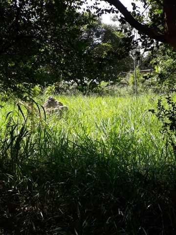 Chácara no Bandeirinhas