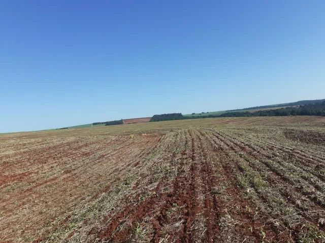 Vend sitio 5 alqueiro planta 4/5
