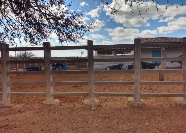 Excelente sítio em Boa Vista PB 