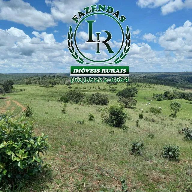 Fazenda 104 Alqueires Beirada Asfalto - Foto 2