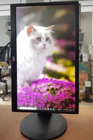 Monitor regulagem de altura e também fica na vertical 