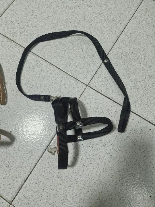 Conjunto guia/peitoral - Foto 3