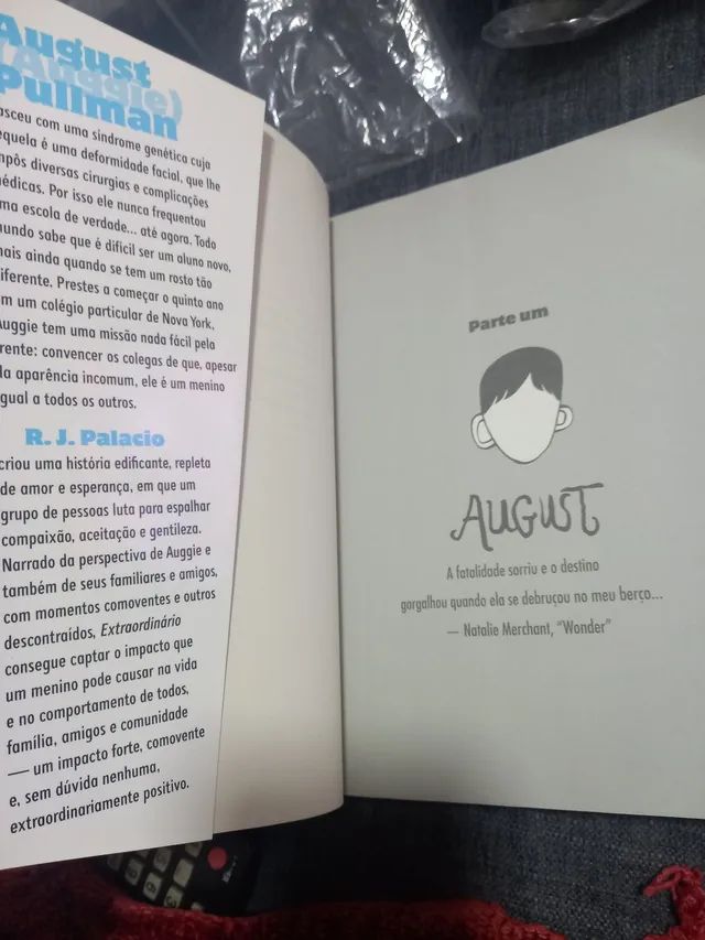 LIVRO O EXTRAORDINÁRIO - Foto 3