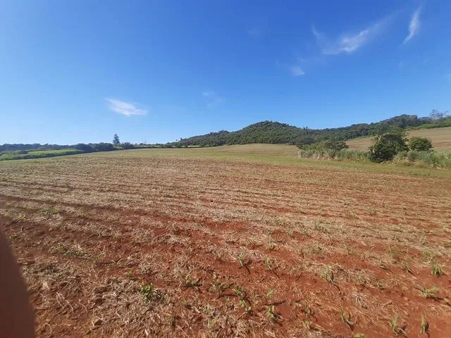 Sitio de 31 alqueiro 28 planta 