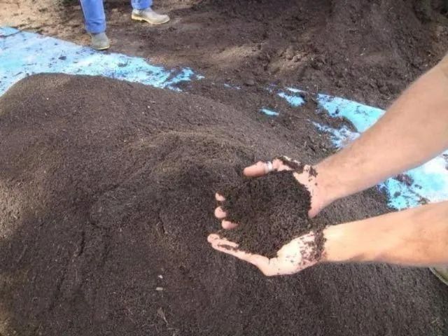 Substrato para jardim e Horta orgânico ,temos  terra preta adubada também! - Foto 5
