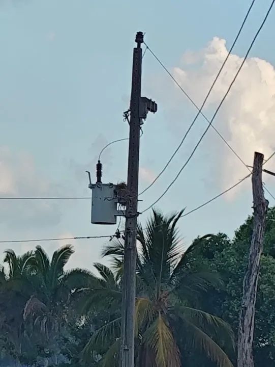 Fazenda em Pirapema do Maranhão - Foto 5