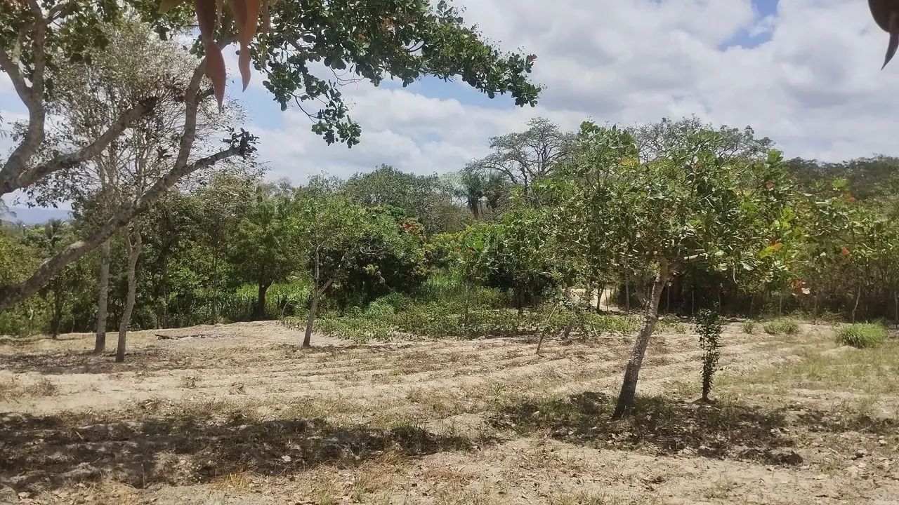 Sítio em Lagoa Seca em excelente localização  - Foto 7