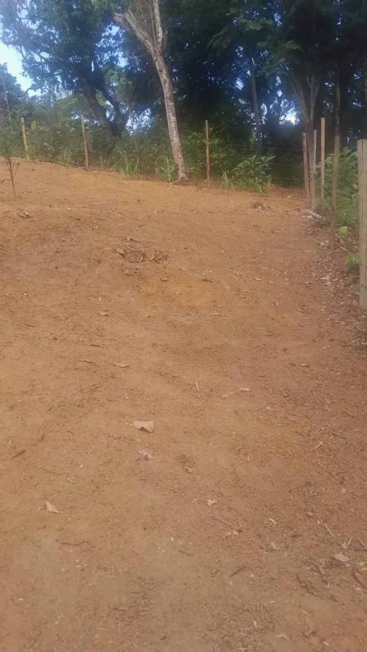 Terrenos 