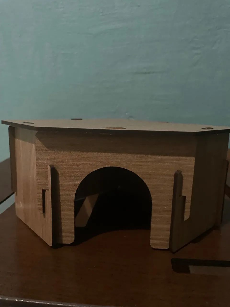 Terrário para Hamster 