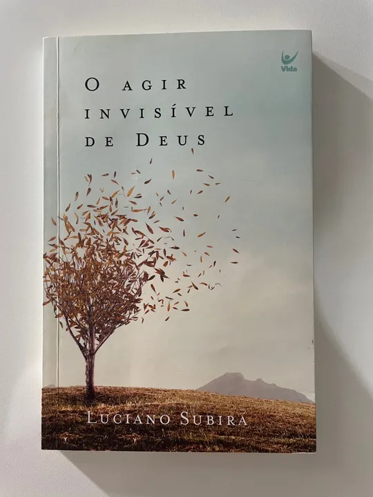 O AGIR INVISÍVEL DE DEUS - LUCIANO SUBIRA