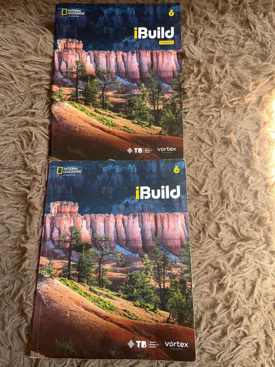 Livros iBuild 6 Thomás bilíngue for schools - Foto 2