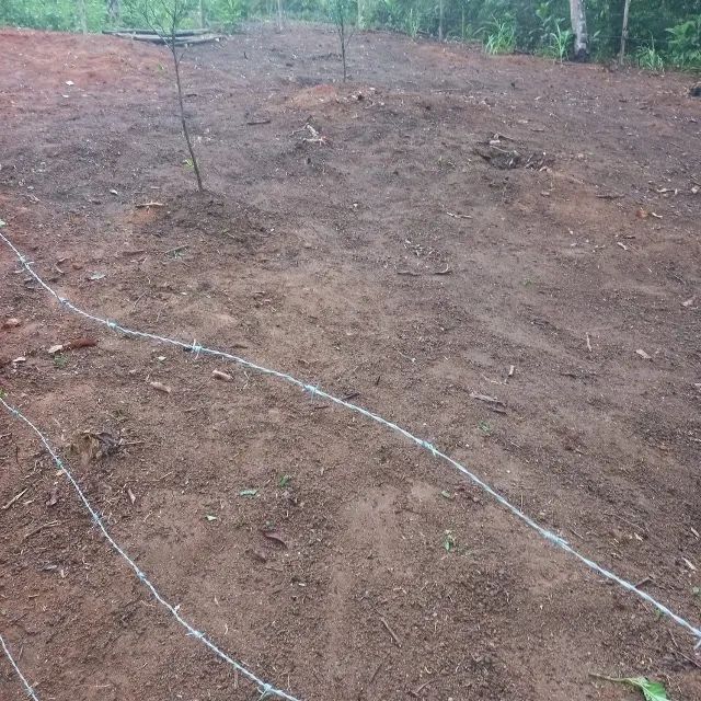Terrenos  - Foto 5