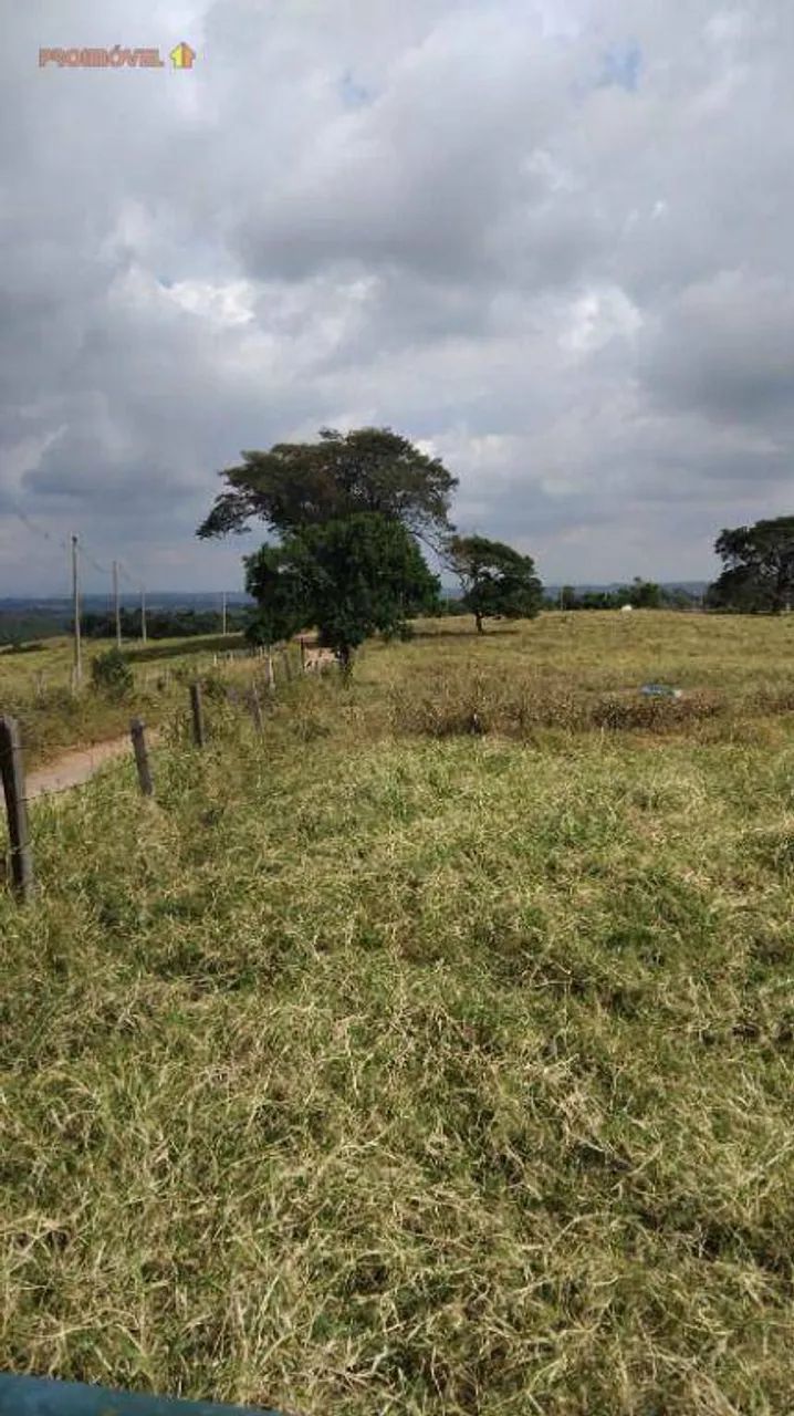 Área Rural, Região de Cesário Lange SP - Foto 2
