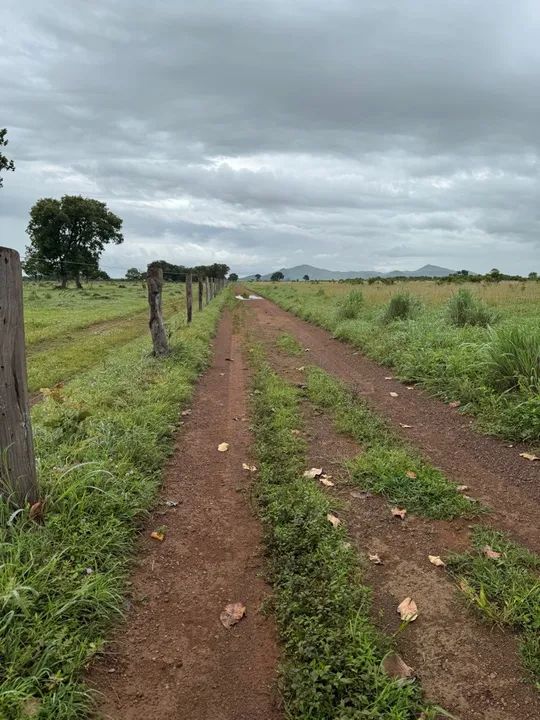 FAZENDA 390 ALQUEIRES ARGILA ACOMA DE 30 PLANTA PERMITIDO  - Foto 3