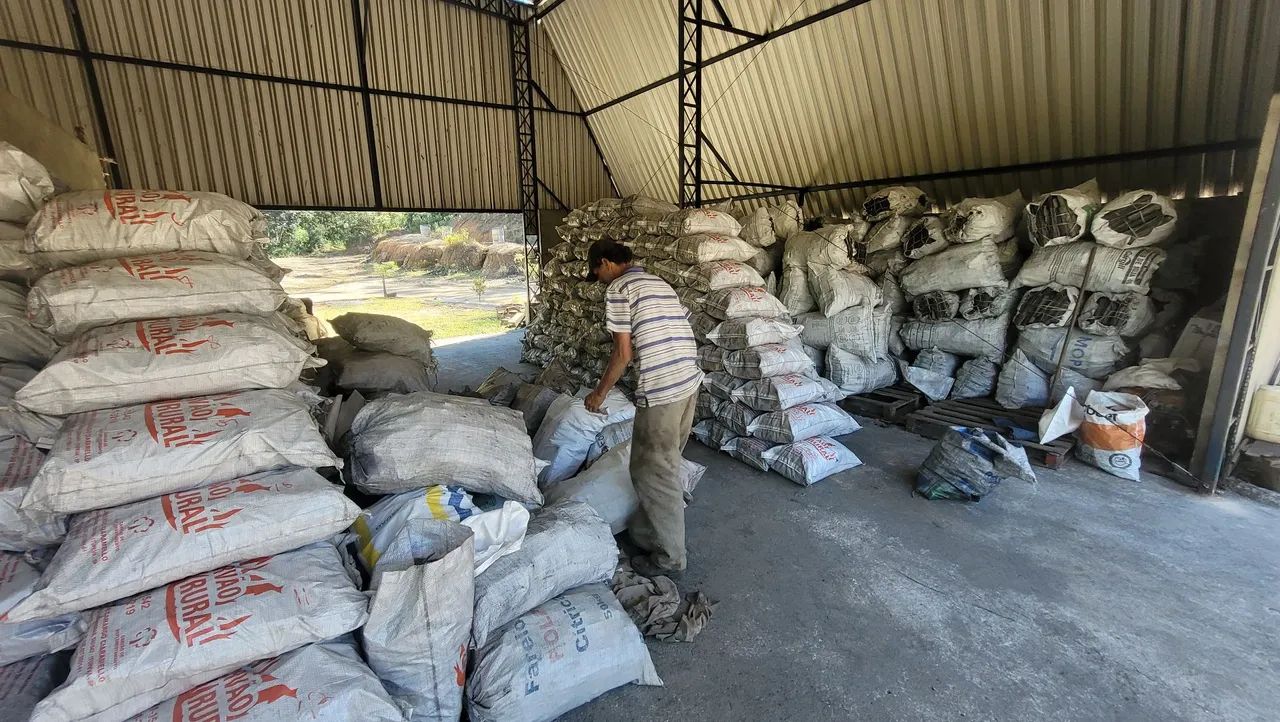 Carvão 100% eucalipto 64167770814082120