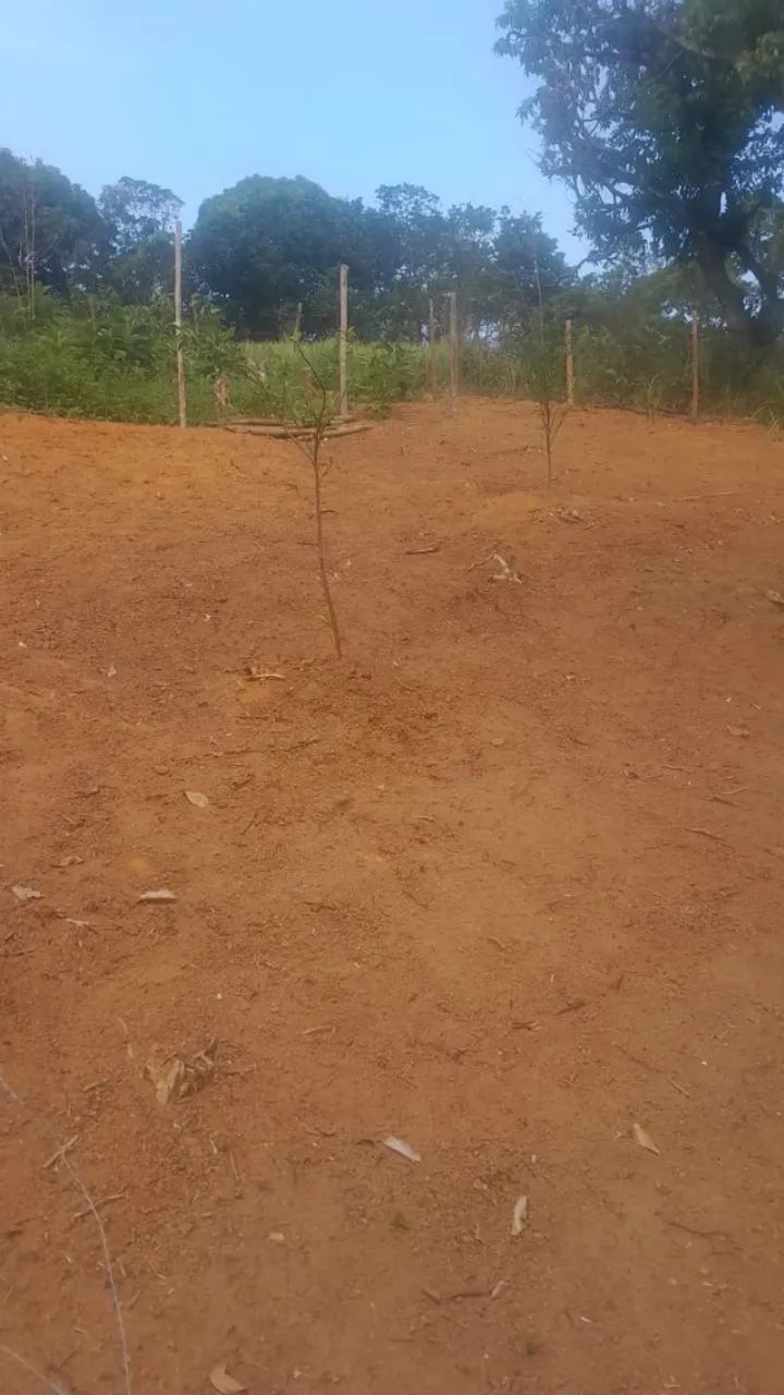 Terrenos  - Foto 4