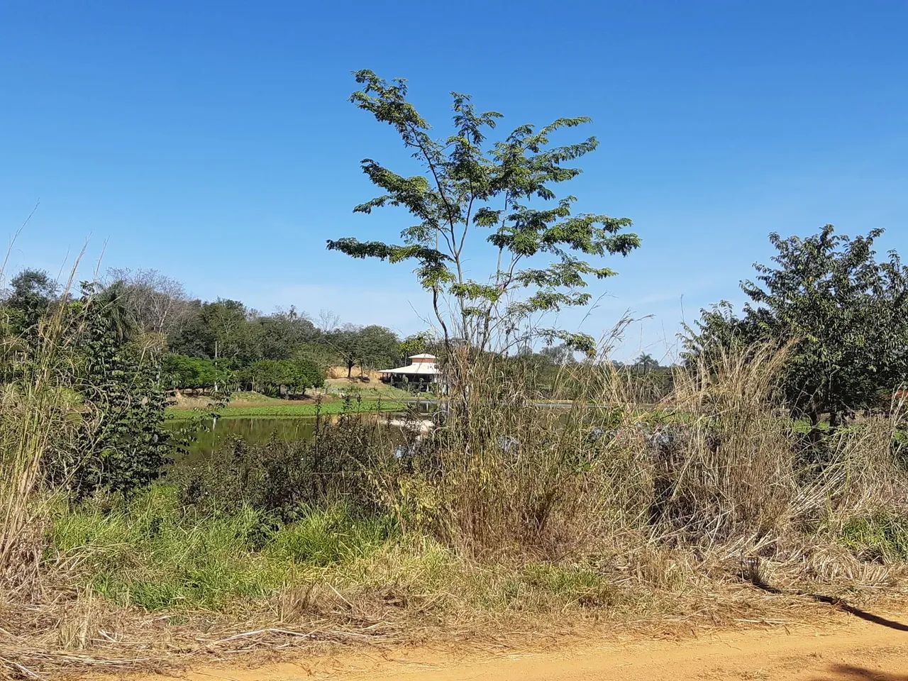 Terrenos 5.000m2 Prontos p Construir Financio c 36 Primeiras Parcelas Fixas - Foto 4